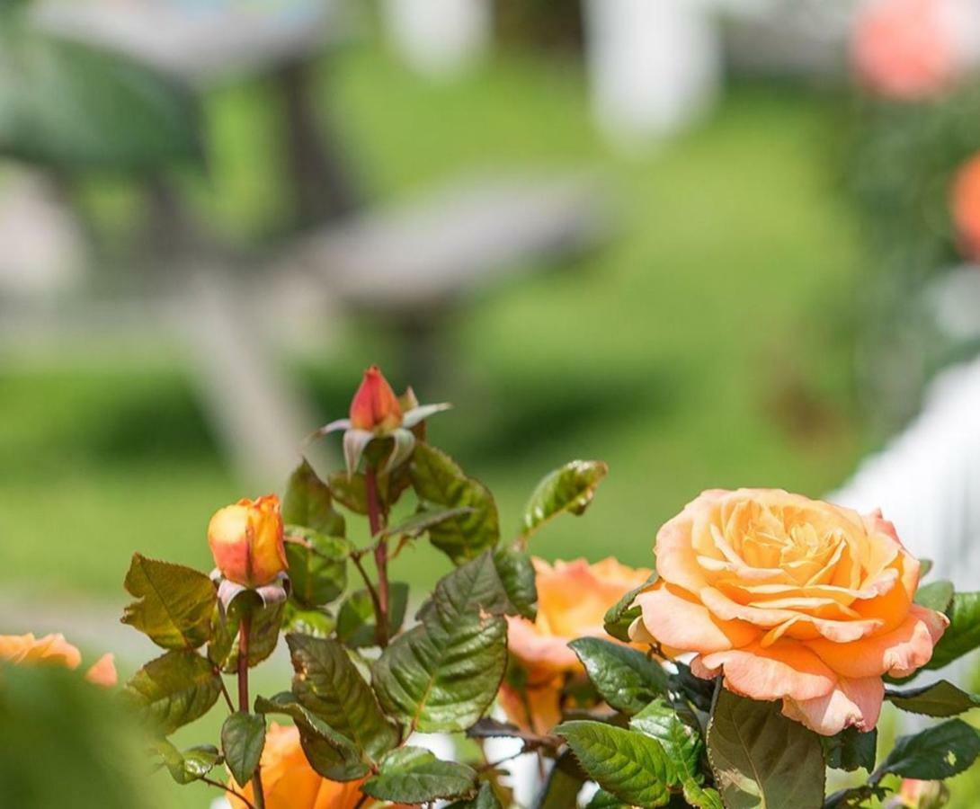 Amber Kiwi Holiday Park & Motels Christchurch Luaran gambar